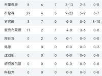 开云体育登录-沃尔夫斯堡主场击败对手，领跑积分榜的简单介绍