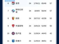 开云体育app-法国队主场失利，欧洲杯预选赛结果揭晓的简单介绍