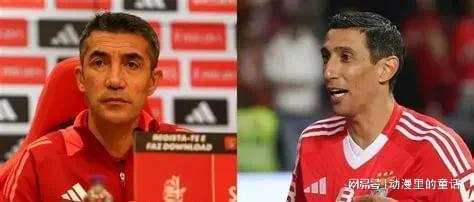 本菲卡高层透露将与沃夫斯堡协商引援事宜