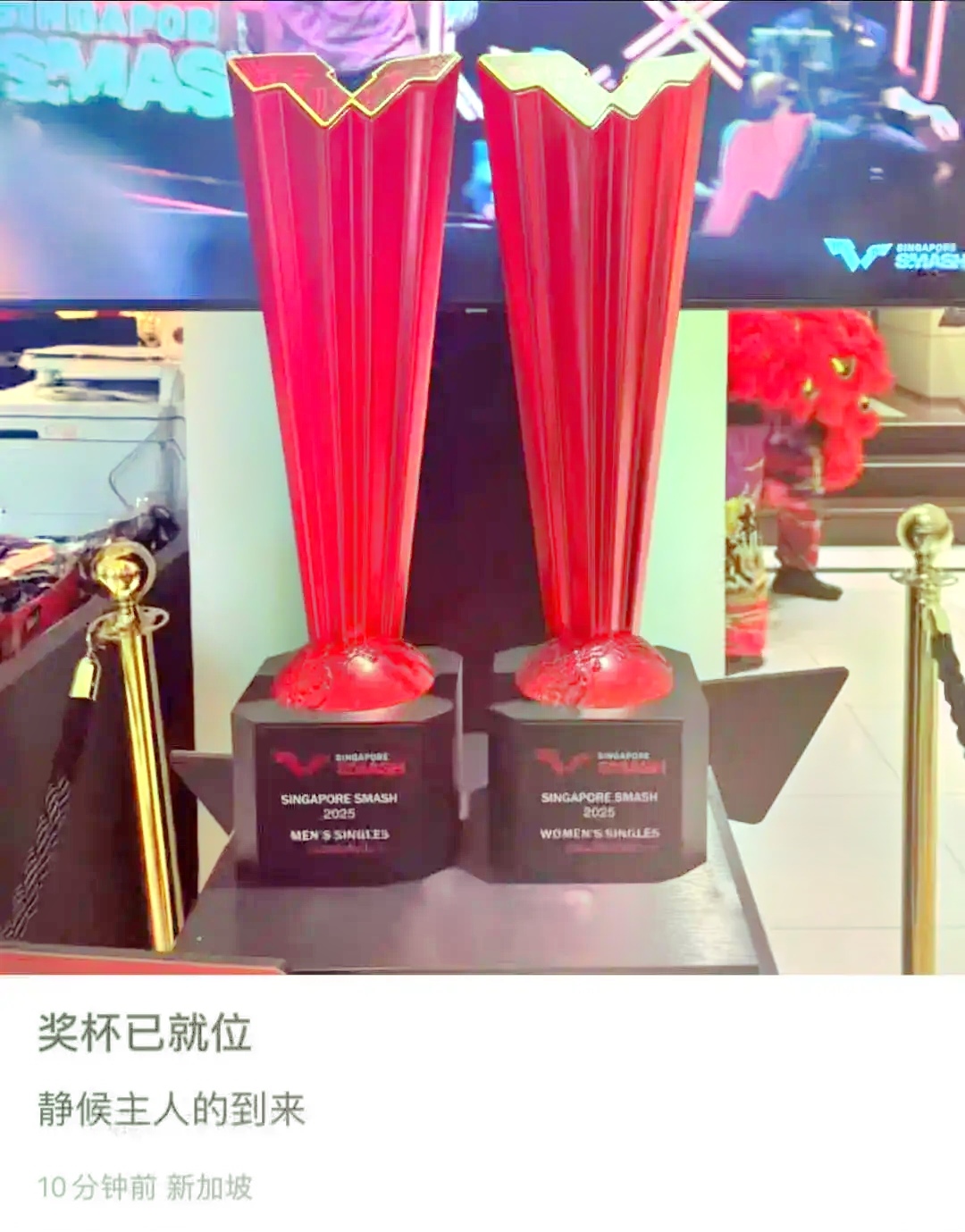 队员们在比赛中展现出色表现,获得冠军奖杯 队员们在比赛中展现出色表现,获得冠军奖杯