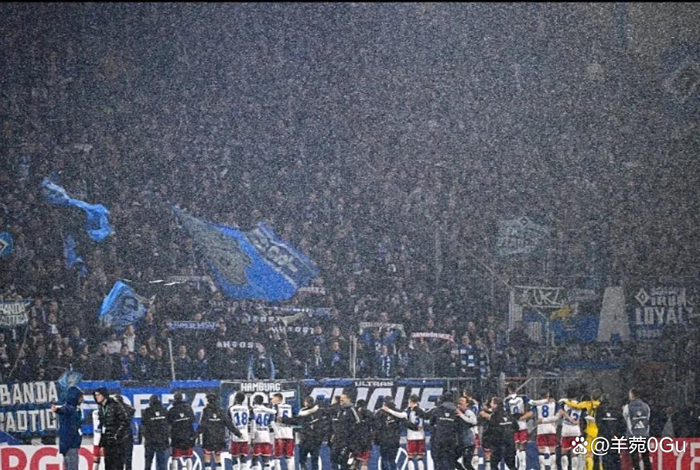 汉堡队再遭遇失利,降级压力进一步加大的简单介绍 汉堡队再遭遇失利,降级压力进一步加大的简单介绍